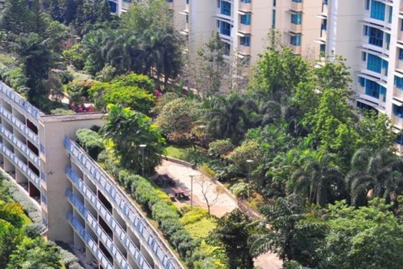 de pinterest de pinterest