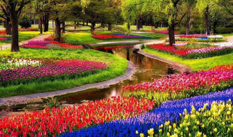 Keukenhof Keukenhof