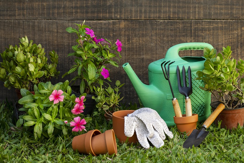  Plantas y herramientas de jardinería / Imagen de Freepick