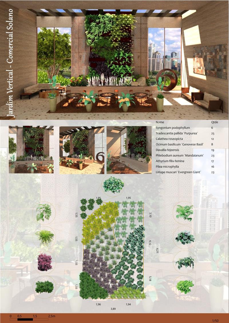 Plancha de diseño paisajístico Plancha de diseño paisajístico