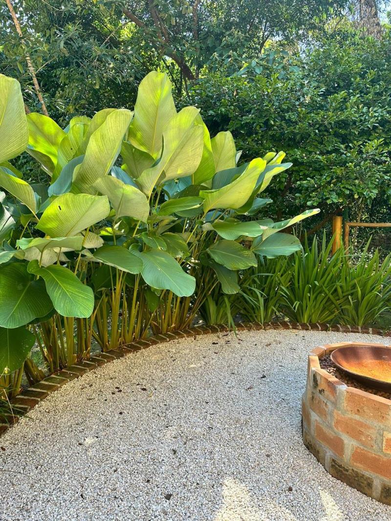 Imagen cedida por el paisajista Carlos Renzo Imagen cedida por el paisajista Carlos Renzo