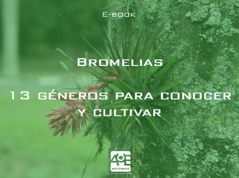 eBook con descarga gratuita "Bromelias: 13 Géneros para conocer y cultivar"