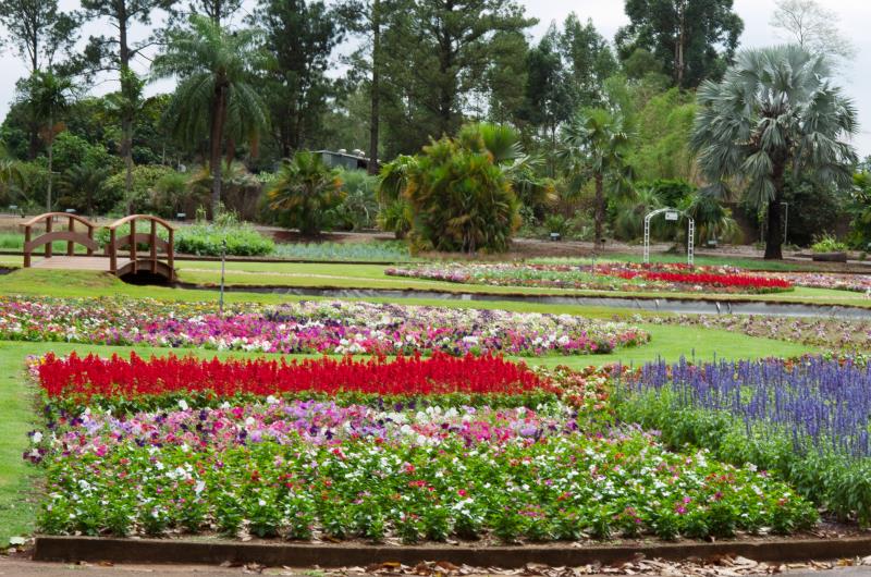 Una de las principales colecciones del Brasil: Jardín Botánico Plantarum