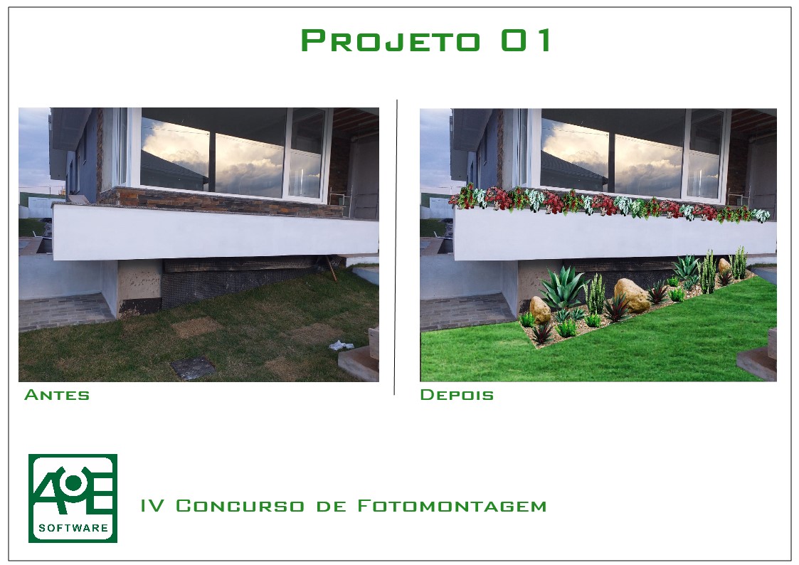 Proyecto 01