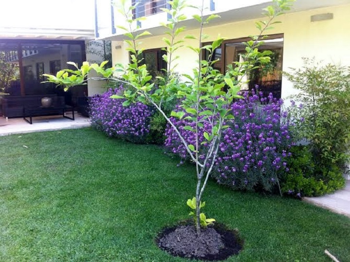 Proyecto Particular Proyecto Particular